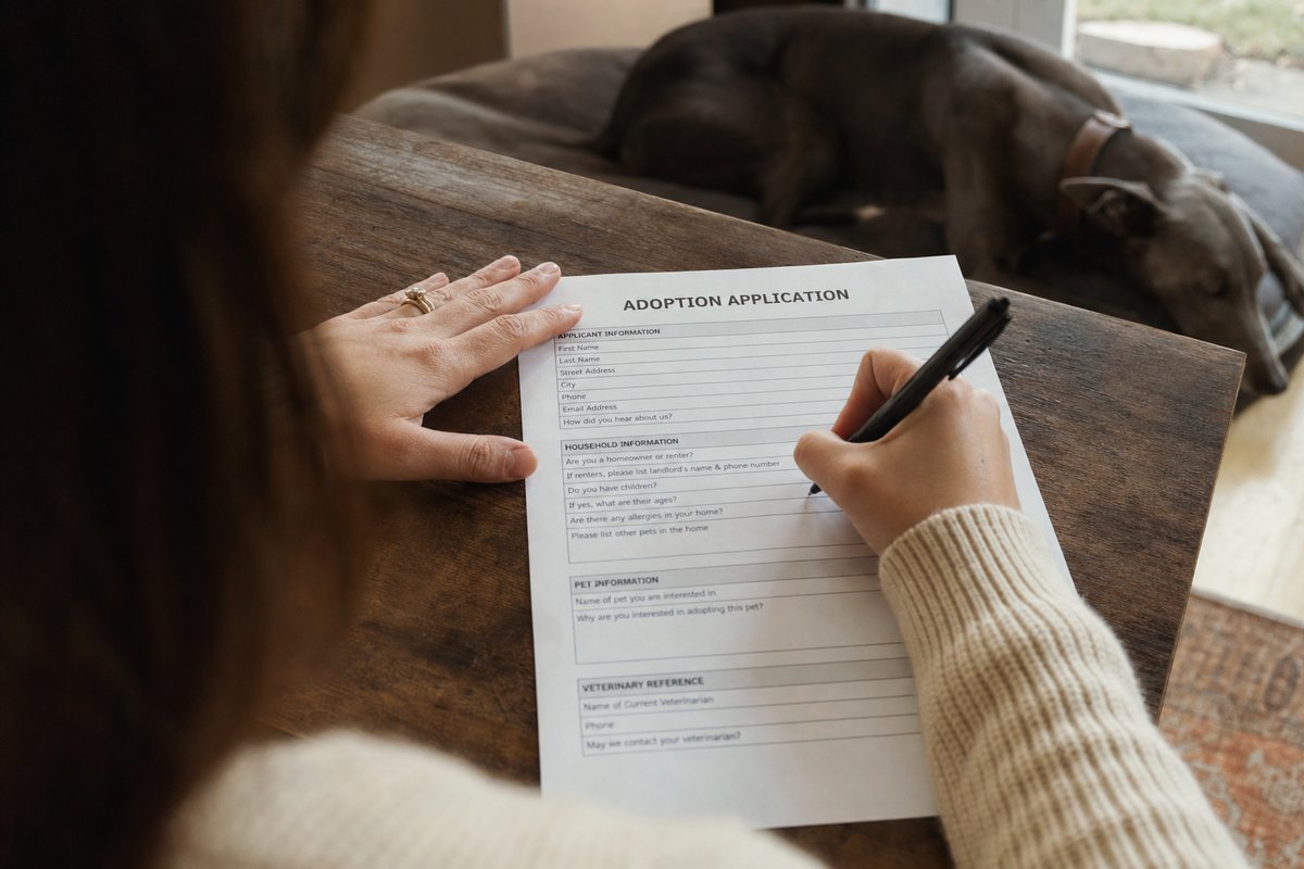 A person filling out a greyhound adoption application form next to a resting greyhound